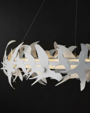 Images Shw9000-1262_11.jpg